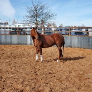 Meet your Posher, Melanie